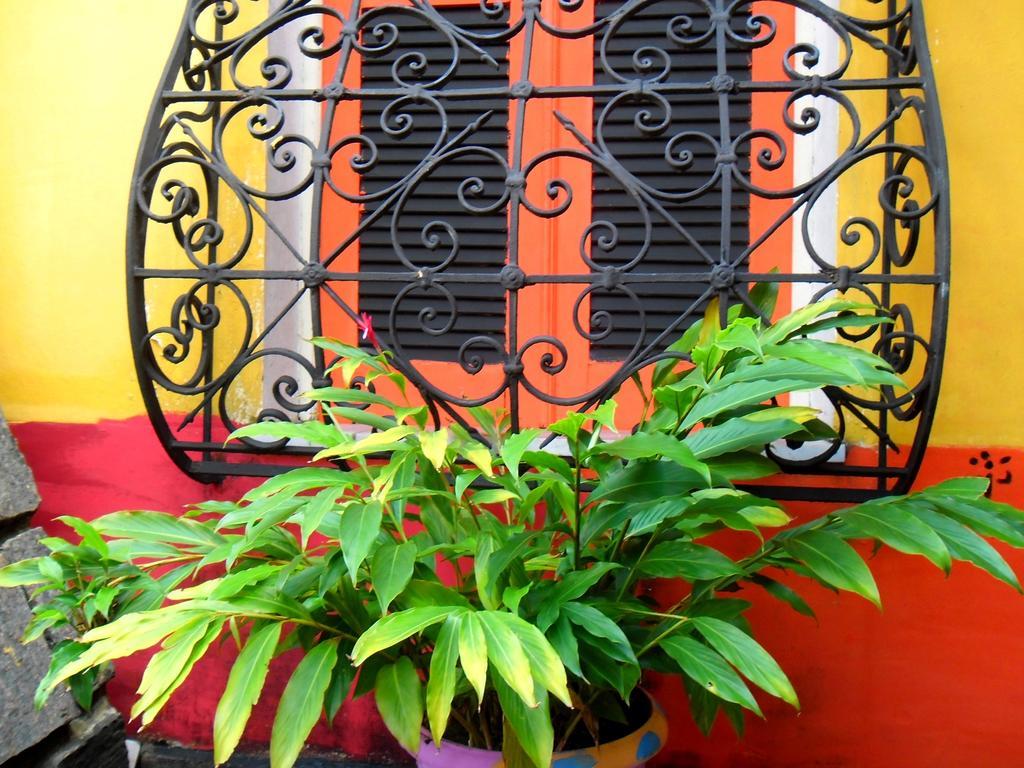 Arte Brasileira Salvador Exterior foto